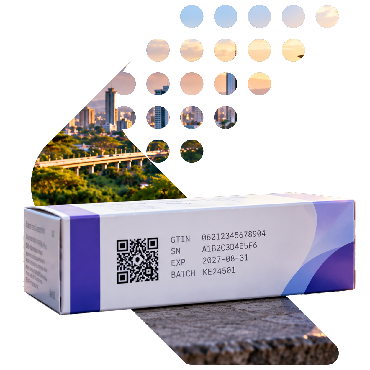 Pharmaceutical carton serialization with GS1 DataMatrix for Kenya